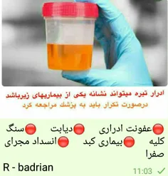 اطلاعات عمومی