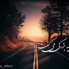 farajzadehamir826 48502405