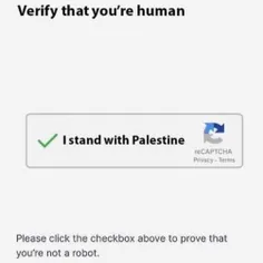 Verify that you're Human; I Stand With Palestine