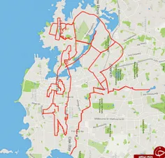 #هنرمندی که با دوچرخه سواری روی نقشه#طراحی می‌کند 