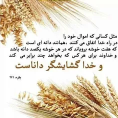 انسان زنده به معنای واقعی، 