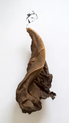 طراحی بابرگ