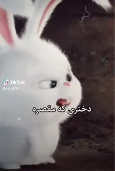 نیم وجبی من 