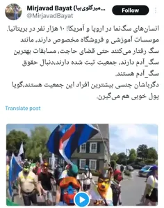 🔶امکانات و مراسم های مخصوص افراد سگ نما در غرب!🤦 