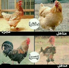 فقط پسراااا 😂 😂