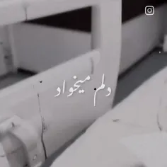 لایک و کامنت 