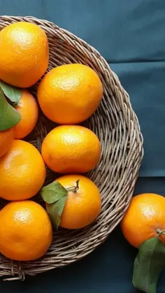 🍊 نارنگی بخاطر داشتن فسفر زیاد،باعث تقویت هوش کودک میشود 