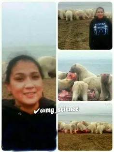 خطرناک ترین#سلفی جهان در چند متری خرس های قطبی وحشی و گرس