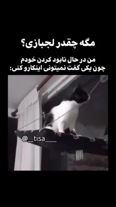 من اصلا لجباز نیستم😔🎀