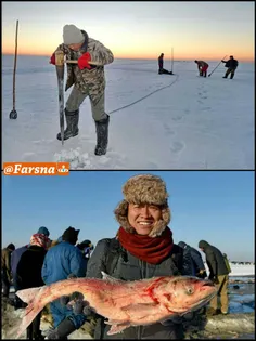 ماهی گیری از زیر یخ های قطور/ چین