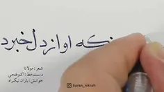 شبتون  شیک