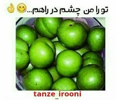 اول صبحی هوس کردم