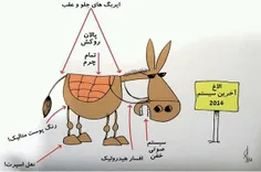 به علت گرانی بنزین و خودرو،و سقوط هواپیما فروش ویژه الاغ 