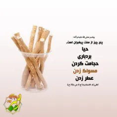 سنت پیغمبران