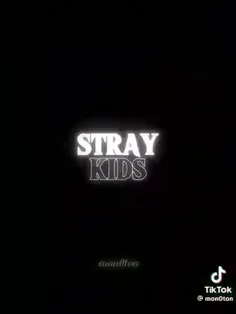 [STRAY KIDS🔥]
••••••••••••••••••••