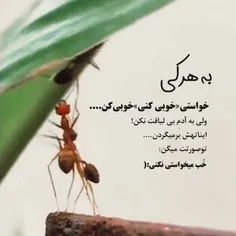 عزیزم قیافش🐜🐜