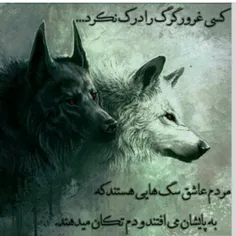 شب بخیر همگی...