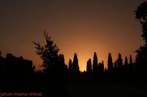 باغ جهان نما شیراز غروب