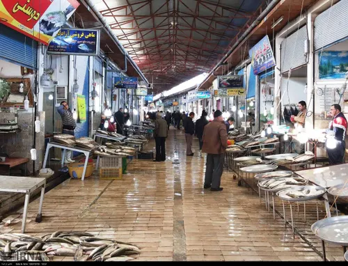 بازار ماهی شمال