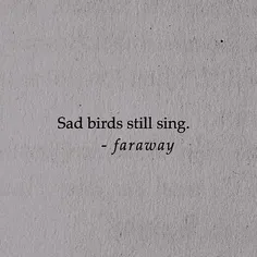 Sad birds still sing.:/