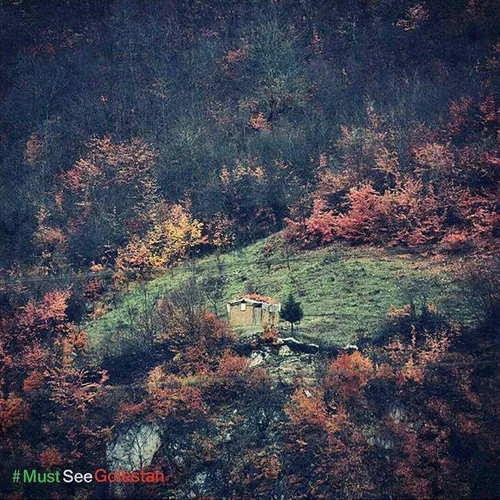 روستای زیارت