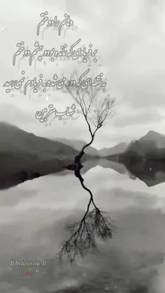 🌱🍒دهانم را دوختم بر فریادی که نمانده بود