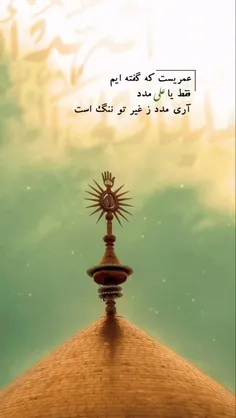 گمراه نشود آنکه تپشهای دلش حب علی ع است