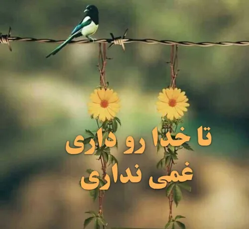 از کسی نپرس