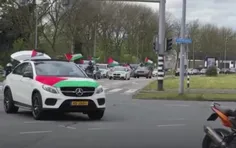 رژه ماشینی در خیابان های شهر روتردام هلند در حمایت از فلس