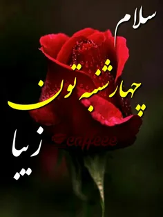 امیدوارم روز خوبی داشته باشید