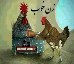 به این میگن زن خوب