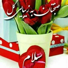 💞 🌿 ســلام ...🌿 💞  💕 💞   💞 💕  