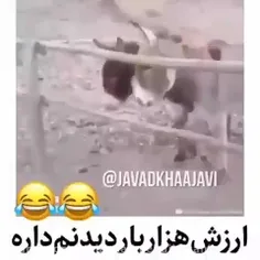 بخداا من مردم 🤣😂