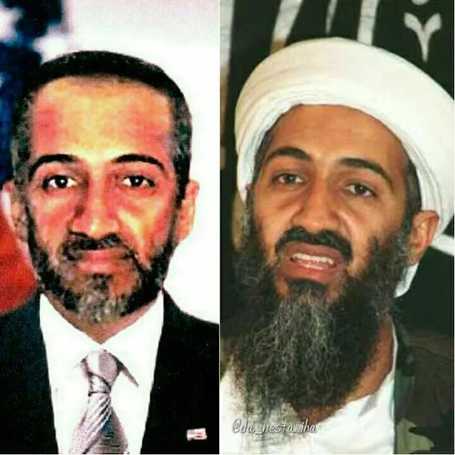 96 درصد از مردم نمی دانند که بن لادن در دهه 80 ، مامور CI