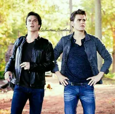 the salvatores ❤ ❤ 