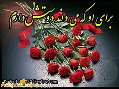 هیــــــ ـــس....