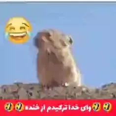 سِکینه هویییییی🤣🤣🤣