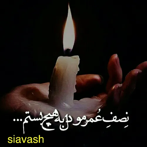 گوناگون siavash.samimi 21419563 - عکس ویسگون