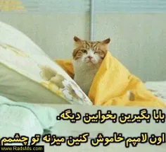 شب بخیر…………