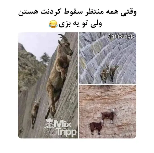 بز باشین👍🏻🙂😂