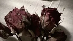 با دلی از قدیم سرخ،