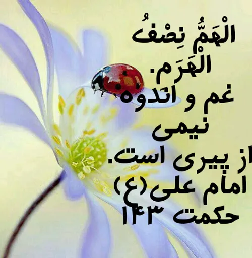 اللهی غم نبینید .