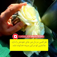 هر کسی در دل من جای خودش را دارد 