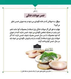 📚 خمس حیوانات خانگی 