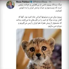 🔴 اشک تمساح پدر انقراض ایران از مرگ «پیروز»