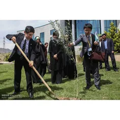 مراسم کاشت درخت صلح بین دو ملت ایران و ژاپن با حضور همسر 