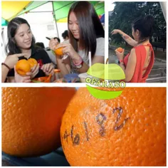 روز#ولنتاین در#مالزی خانم ها شماره تلفنشان را روی پرتقال 