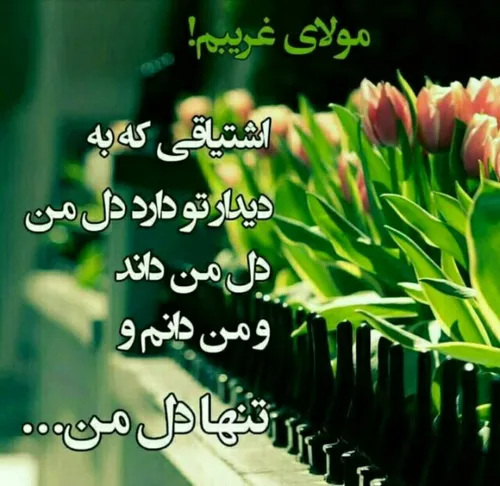 مذهبی