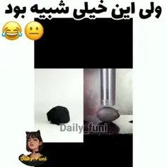 واقعا شبیه بود😂