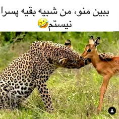 وقتی پسرا میخوان مخ بزنن😂😂😂